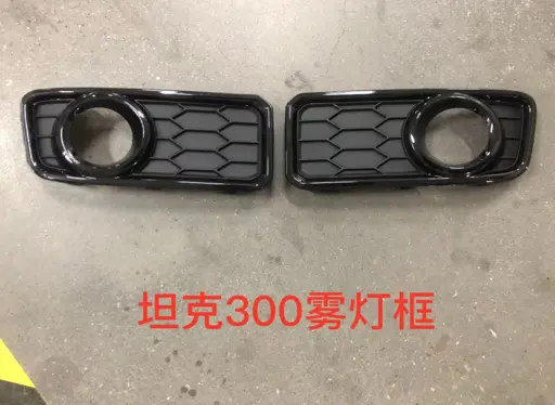 Haval TANK 300 Front Fog Light Frame Left 2023 / 2025